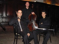 Trio Viennese