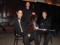 Trio Viennese